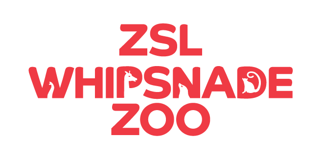 Whipsnade Zoo